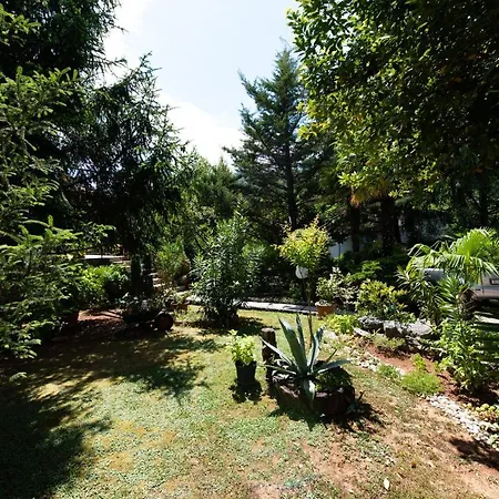 Nigra Apartman *
